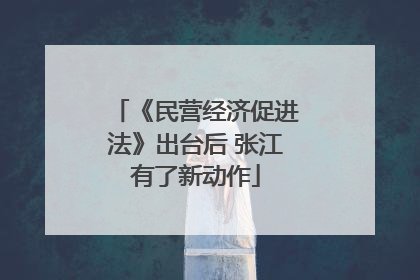 《民营经济促进法》出台后 张江有了新动作