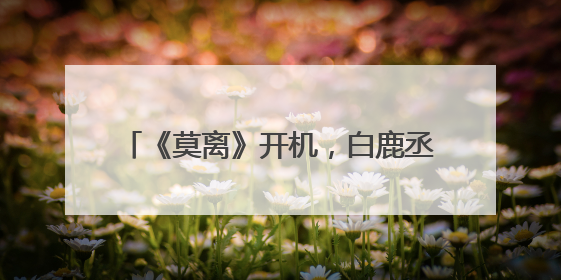 《莫离》开机，白鹿丞磊新剧携手谋定天下