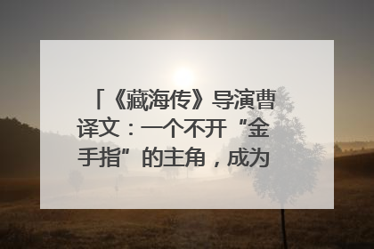 《藏海传》导演曹译文：一个不开“金手指”的主角，成为苍生守护者
