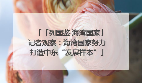 「列国鉴·海湾国家」记者观察：海湾国家努力打造中东“发展样本”