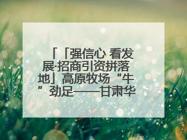 「强信心 看发展·招商引资拼落地」高原牧场“牛”劲足——甘肃华予高原牧场高标准奶牛肉牛养殖项目一线见闻