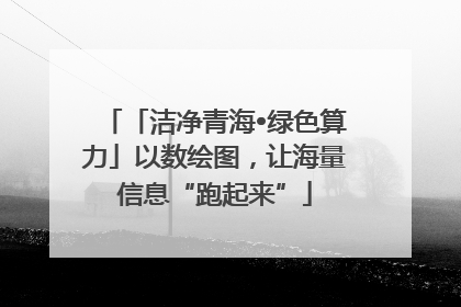 「洁净青海•绿色算力」以数绘图，让海量信息“跑起来”