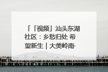 「视频」汕头东湖社区：乡愁归处 希望新生｜大美岭南·百村焕新记