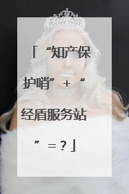 “知产保护哨”+“经盾服务站”=？