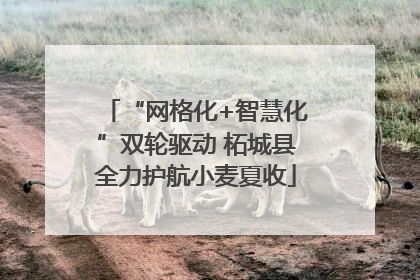 “网格化+智慧化”双轮驱动 柘城县全力护航小麦夏收