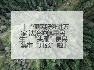 “便民服务进万家 法治护航惠民生”“头雁”便民集市“开张”啦