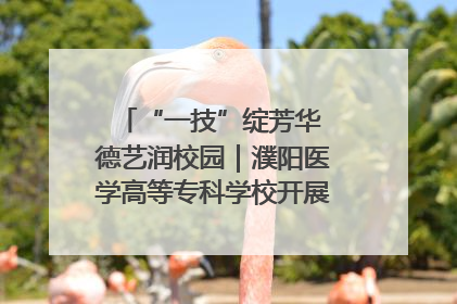 “一技”绽芳华 德艺润校园｜濮阳医学高等专科学校开展丰富多彩的职业教育活动周主题活动