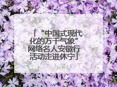 “中国式现代化的万千气象”网络名人安徽行活动走进休宁