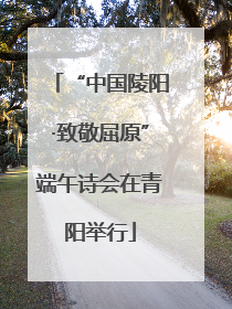 “中国陵阳·致敬屈原”端午诗会在青阳举行