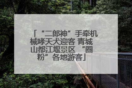 “二郎神”手牵机械哮天犬迎客 青城山都江堰景区 “圈粉”各地游客