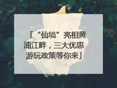 “仙境”亮相黄浦江畔，三大优惠游玩政策等你来