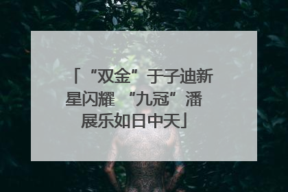 “双金”于子迪新星闪耀 “九冠”潘展乐如日中天