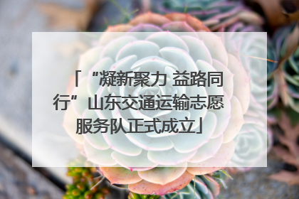 “凝新聚力 益路同行”山东交通运输志愿服务队正式成立