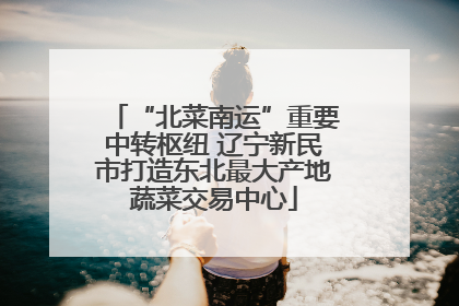 “北菜南运”重要中转枢纽 辽宁新民市打造东北最大产地蔬菜交易中心