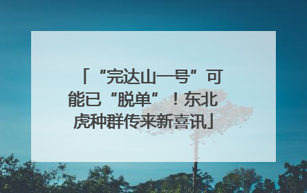 “完达山一号”可能已“脱单”！东北虎种群传来新喜讯
