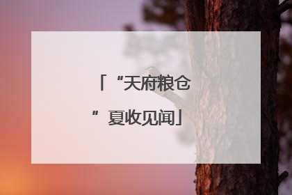 “天府粮仓”夏收见闻