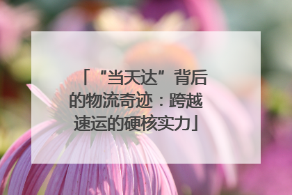 “当天达”背后的物流奇迹：跨越速运的硬核实力