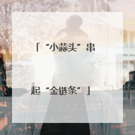 “小蒜头”串起“金链条”
