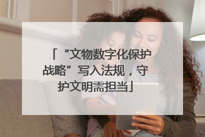“文物数字化保护战略”写入法规，守护文明需担当