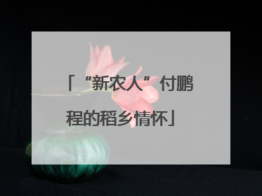 “新农人”付鹏程的稻乡情怀