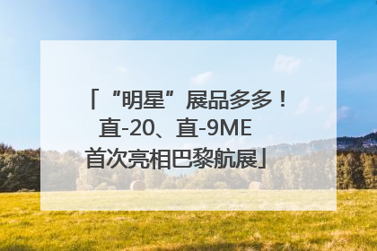 “明星”展品多多！直-20、直-9ME首次亮相巴黎航展