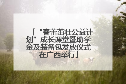 “春蕾茁壮公益计划”成长课堂暨助学金及装备包发放仪式在广西举行