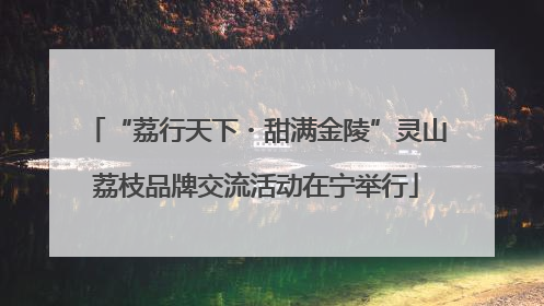 “荔行天下・甜满金陵”灵山荔枝品牌交流活动在宁举行