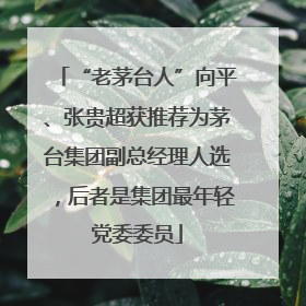 “老茅台人”向平、张贵超获推荐为茅台集团副总经理人选，后者是集团最年轻党委委员