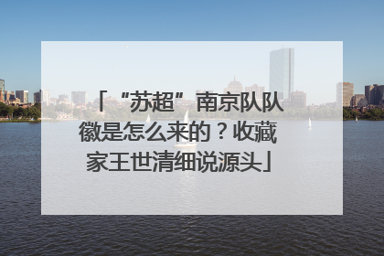 “苏超”南京队队徽是怎么来的？收藏家王世清细说源头