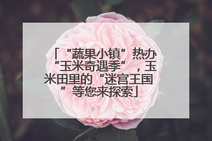 “蔬果小镇”热办“玉米奇遇季”，玉米田里的“迷宫王国”等您来探索