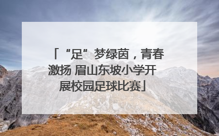 “足”梦绿茵，青春激扬 眉山东坡小学开展校园足球比赛