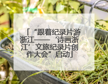 “跟着纪录片游浙江——‘诗画浙江’文旅纪录片创作大会”启动