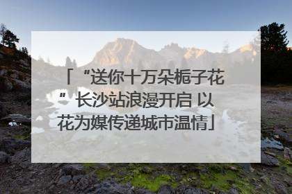 “送你十万朵栀子花”长沙站浪漫开启 以花为媒传递城市温情