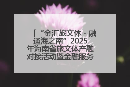 “金汇旅文体・融通海之南”2025年海南省旅文体产融对接活动暨金融服务中心成立仪式举行