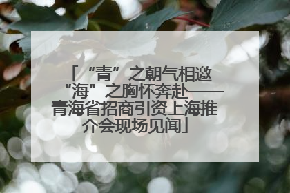 “青”之朝气相邀 “海”之胸怀奔赴——青海省招商引资上海推介会现场见闻
