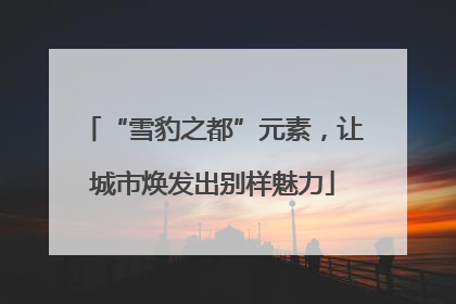 “雪豹之都”元素，让城市焕发出别样魅力
