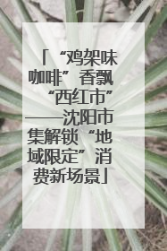“鸡架味咖啡”香飘“西红市”——沈阳市集解锁“地域限定”消费新场景