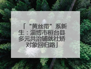 “黄丝带”系新生：淄博市桓台县多元共治铺就社矫对象回归路