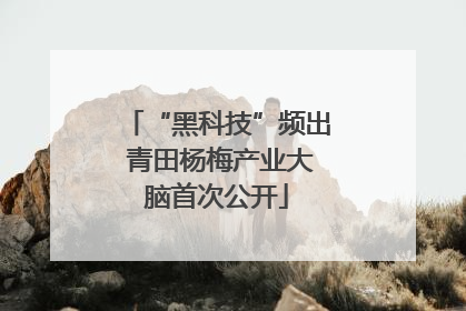 “黑科技”频出 青田杨梅产业大脑首次公开