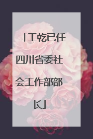 王乾已任四川省委社会工作部部长