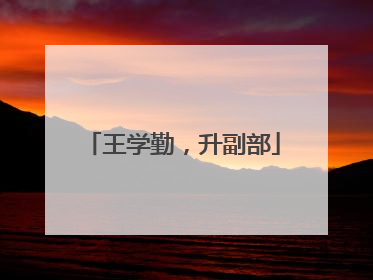 王学勤，升副部