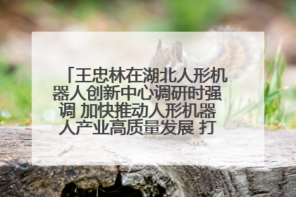 王忠林在湖北人形机器人创新中心调研时强调 加快推动人形机器人产业高质量发展 打造具有全国影响力的研发创新基地