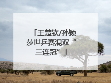 王楚钦/孙颖莎世乒赛混双“三连冠”