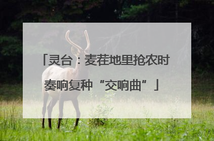 灵台：麦茬地里抢农时 奏响复种“交响曲”