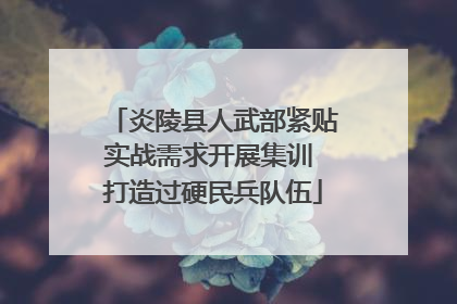 炎陵县人武部紧贴实战需求开展集训 打造过硬民兵队伍