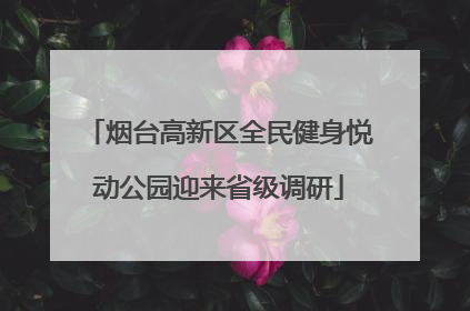 烟台高新区全民健身悦动公园迎来省级调研