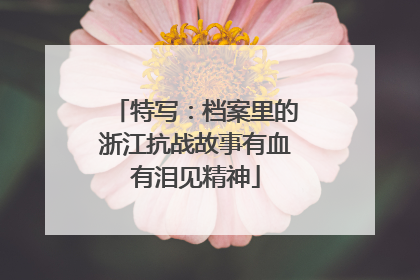 特写：档案里的浙江抗战故事有血有泪见精神