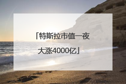 特斯拉市值一夜大涨4000亿