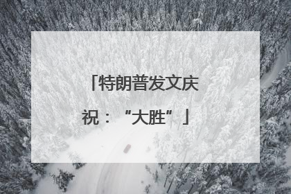 特朗普发文庆祝：“大胜”