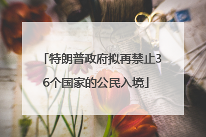 特朗普政府拟再禁止36个国家的公民入境